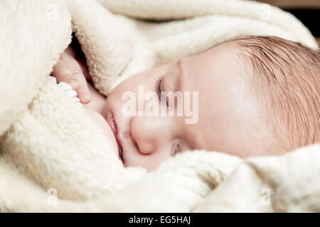 Schöne 3 Monate Baby schläft in weiche Decke Nahaufnahme Gesicht Porträt Stockfoto