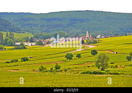 Auxey-Duresses Dorf Cote-d ' or Burgund Frankreich Stockfoto