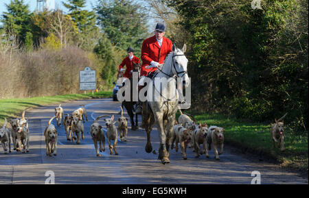 Oakham, Großbritannien. 17. Februar, 2015. Cottesmore Jagd erfüllen. Huntsman Andrew Osborne führt die Cottesmore Jagd. Quelle: Nico Morgan/Alamy leben Nachrichten Stockfoto