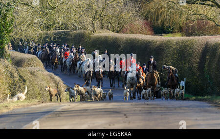 Oakham, UK. 17. Februar 2015. Cottesmore Hunt zu erfüllen. Cottesmore Jäger Andrew Osborne MFH führt die Anhänger auf der Straße zwischen Wanderwege. Bildnachweis: Nico Morgan/Alamy Live-Nachrichten Stockfoto