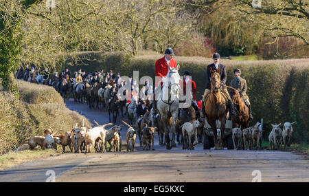 Oakham, UK. 17. Februar 2015. Cottesmore Hunt zu erfüllen. Cottesmore Jäger Andrew Osborne MFH führt die Anhänger auf der Straße zwischen Wanderwege. Bildnachweis: Nico Morgan/Alamy Live-Nachrichten Stockfoto