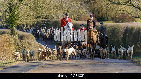 Oakham, UK. 17. Februar 2015. Cottesmore Hunt zu erfüllen. Cottesmore Jäger Andrew Osborne MFH führt die Anhänger auf der Straße zwischen Wanderwege. Bildnachweis: Nico Morgan/Alamy Live-Nachrichten Stockfoto