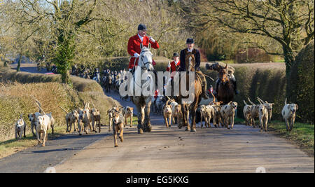 Oakham, UK. 17. Februar 2015. Cottesmore Hunt zu erfüllen. Cottesmore Jäger Andrew Osborne MFH führt die Anhänger auf der Straße zwischen Wanderwege. Bildnachweis: Nico Morgan/Alamy Live-Nachrichten Stockfoto