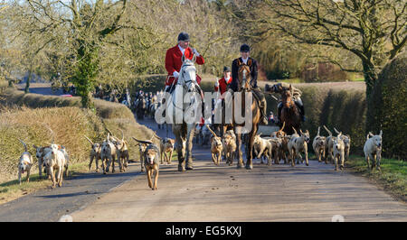 Oakham, UK. 17. Februar 2015. Cottesmore Hunt zu erfüllen. Cottesmore Jäger Andrew Osborne MFH führt die Anhänger auf der Straße zwischen Wanderwege. Bildnachweis: Nico Morgan/Alamy Live-Nachrichten Stockfoto