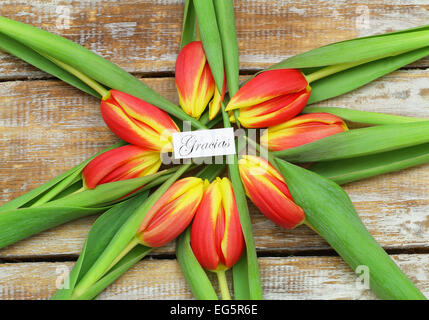 Gracias (d.h. danke auf Spanisch) mit roten und gelben Tulpen auf rustikalen Holz Stockfoto