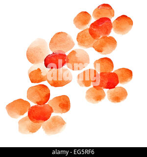 Aquarell Blumen über dem weißen Hintergrund Stockfoto