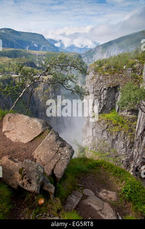 Voringsfossen-Wasserfall-Canyon-Tal in der Hardangervidda, Norwegen, Skandinavien. Pilz im Vordergrund. Stockfoto