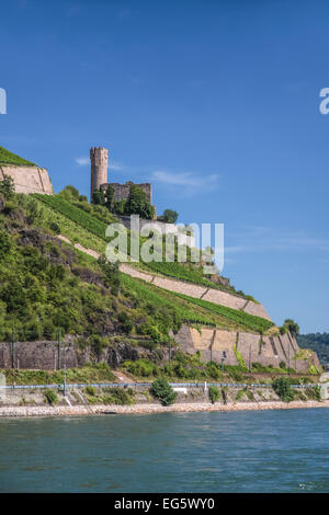 Ruine der Burg Ehrenfels in der Nähe von Rüdesheim im Rheingau, Hessen, Deutschland Stockfoto