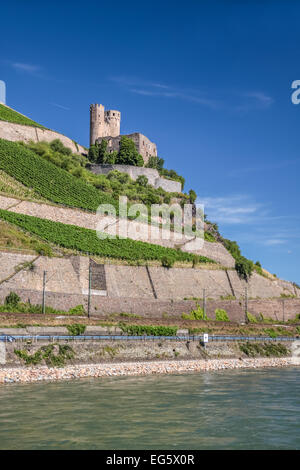 Ruine der Burg Ehrenfels in der Nähe von Rüdesheim im Rheingau, Hessen, Deutschland Stockfoto