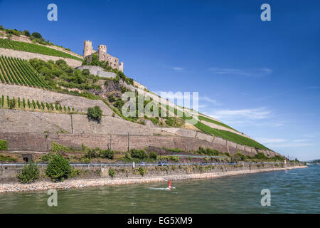 Ruine der Burg Ehrenfels in der Nähe von Rüdesheim im Rheingau, Hessen, Deutschland Stockfoto