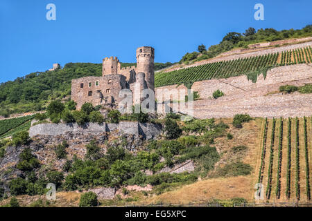 Ruine der Burg Ehrenfels in der Nähe von Rüdesheim im Rheingau, Hessen, Deutschland Stockfoto