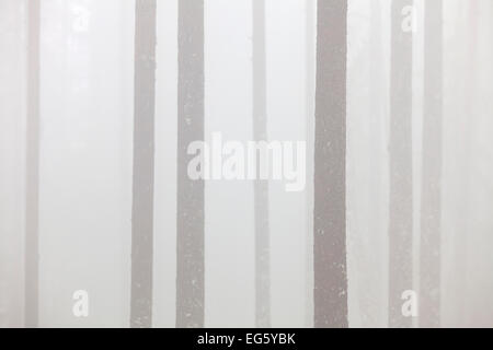 Kiefer (Pinus Sylvestris), Baumstämme im Nadelwald im Nebel Stockfoto