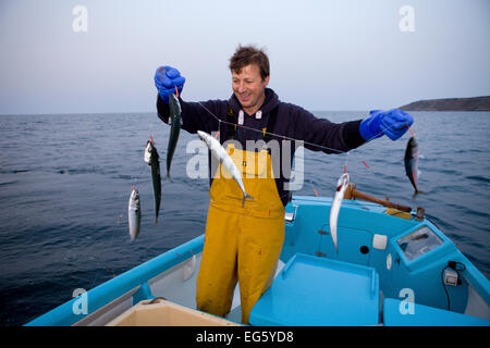 Fischer Handlining für Makrele (Scomber Scombrus) von einem kleinen Boot aus Newlyn, Cornwall, England, Vereinigtes Königreich, April 2011 2 Stockfoto