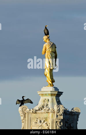 Zwei gemeinsame verlernt (Phalocrocorax Carbo) thront auf austrocknen, Bushy Park, London, England, Vereinigtes Königreich, November Statue. Stockfoto