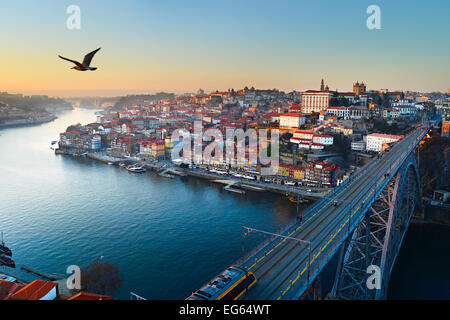 Möwen fliegen in den Himmel über der Stadt Porto, Portugal Stockfoto