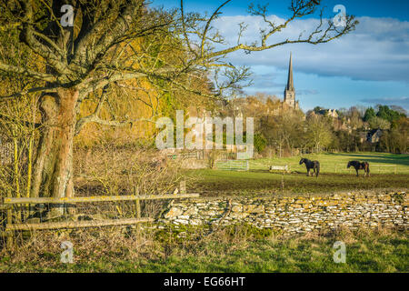 Tetbury, Gloucestershire, UK. 17. Februar 2015. Zwei Maiskolben Pferde genießen der späten Nachmittagssonne im Februar in Tetbury, Gloucestershire, England. Bildnachweis: Terry Mathews/Alamy Live-Nachrichten Stockfoto