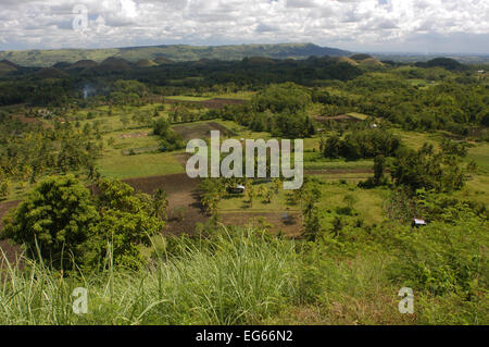 Mountains Chocolate Hills. Bohol. Die Visayas. Philippinen. Die Chocolate Hills sind eine geologische Formation in Bohol Provinz, Ph Stockfoto