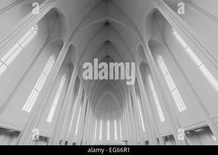 Gewölbe der Kathedrale Hallgrímskirkja Reykjavík, Island Stockfoto