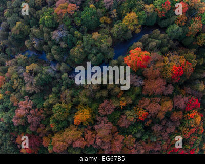 Eine Luftaufnahme der Herbstfarben über Albion Hills Conservation Area an einem heißen Nachmittag im Herbst Stockfoto