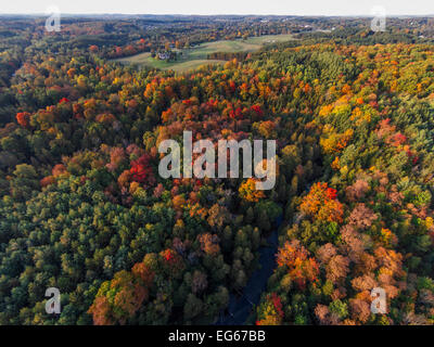 Eine Luftaufnahme der Herbstfarben über Albion Hills Conservation Area an einem heißen Nachmittag im Herbst Stockfoto