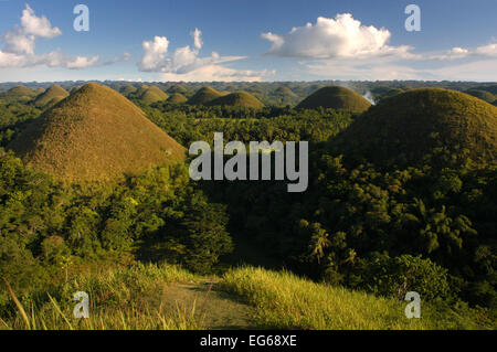 Mountains Chocolate Hills. Bohol. Die Visayas. Philippinen. Die Chocolate Hills sind eine geologische Formation in Bohol Provinz, Ph Stockfoto