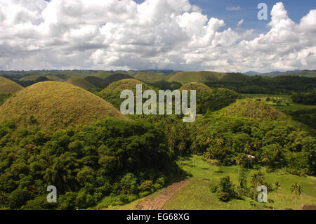 Mountains Chocolate Hills. Bohol. Die Visayas. Philippinen. Die Chocolate Hills sind eine geologische Formation in Bohol Provinz, Ph Stockfoto