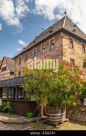 Torbogen auf einem Weingut in Eltville, Rhein, Deutschland Stockfoto