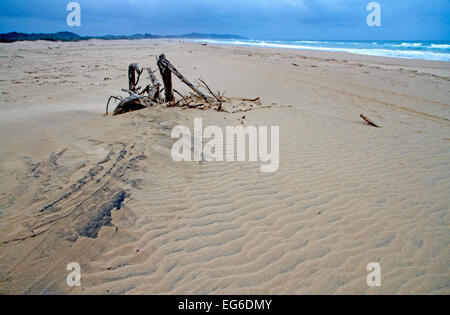 Strand von St Lucia, am Rande des iSimangaliso Wetland Park Stockfoto