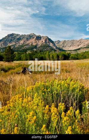 Boulder Berge von Phantom Hill in die Sawtooth National Recreation Bereich (SNRA) in Yunan Idaho. Stockfoto