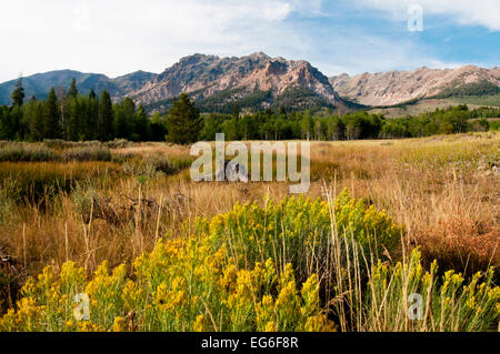 Boulder Berge von Phantom Hill in die Sawtooth National Recreation Bereich (SNRA) in Yunan Idaho. Stockfoto