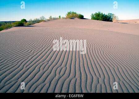 Sanddüne und Wellen in Bruneau Dunes State Park Idaho Stockfoto