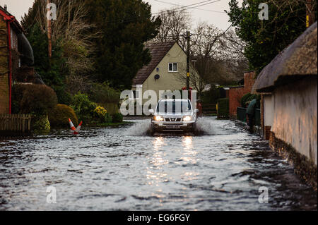 Auto fahren durch Hochwasser am Coombe Bisset in der Nähe von Salisbury Stockfoto