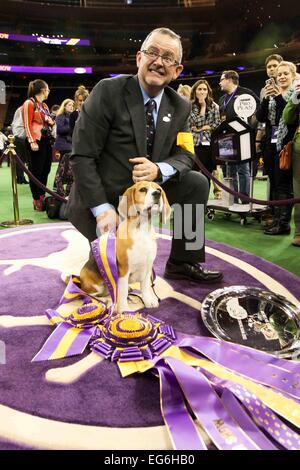 New York, NY, USA. 17. Februar 2015. Miss P, ein 15-Zoll-Beagle aus der Hound-Gruppe, zeigt William Alexander nach dem Gewinn der Best in Show Award bei der 139. jährlichen Westminster Kennel Club Dog Show am 17. Februar 2015 in New York City. Bildnachweis: Debby Wong/Alamy Live-Nachrichten Stockfoto