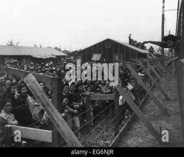 Japanische Amerikaner hinter Stacheldrahtzaun winken für Freunde verlassen Santa Anita Camps in einem Zug. Von 1942 bis 1944, Santa Stockfoto