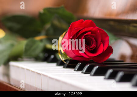 Schöne rote rose auf der Klaviertastatur. Hintergrundmusik Stockfoto