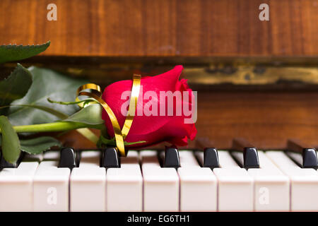 Schöne rote rose auf der Klaviertastatur. Hintergrundmusik Stockfoto