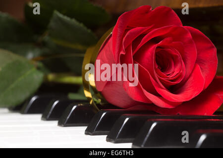 Schöne rote rose auf der Klaviertastatur. Hintergrundmusik Stockfoto