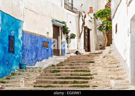 Blau-weiß gewaschene Gasse mit den Schritten in der Altstadt, Rabat, Marokko Stockfoto