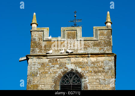 St. Margarets Kirche, Denton, Northamptonshire, England, Vereinigtes Königreich Stockfoto