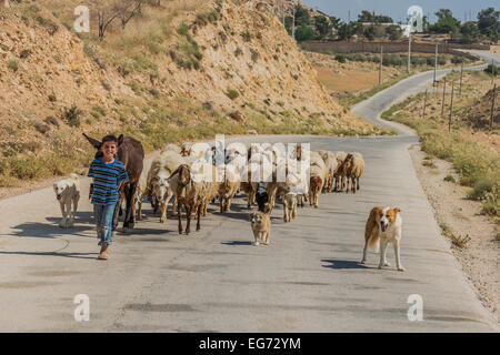 Al-Beidha, Jordanien-9. Mai 2013: junger Schafhirte und Schafherde in der Nähe von Al-Beidha in Jordanien Naher Osten am 9. Mai 2013 Stockfoto