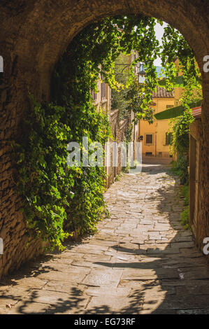 Alte Straßen Grün eine mittelalterliche toskanische Stadt. Stockfoto