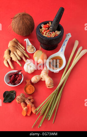 Amok, kambodschanischen Gericht, Zutaten, Zitronengras, Kaffernlimette, Galgant, Finger Wurzel, Kurkuma, Knoblauch, Paprika, Zwiebel, Fisch-Sauce, Stockfoto