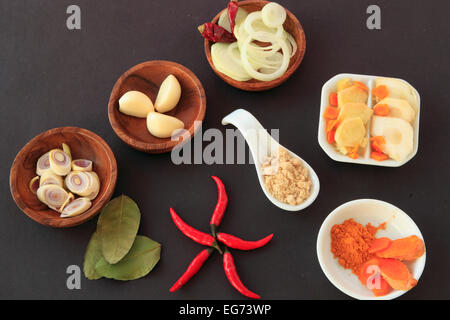 Amok, kambodschanischen Gericht, Zutaten, Zitronengras, Kaffernlimette, Galgant, Finger Wurzel, Kurkuma, Knoblauch, Paprika, Zwiebeln, Zucker Stockfoto