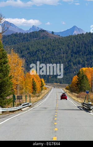 Bäume im Herbst Farbe entlang Highway 75 in der Nähe von Ketchum, Idaho, USA. Stockfoto