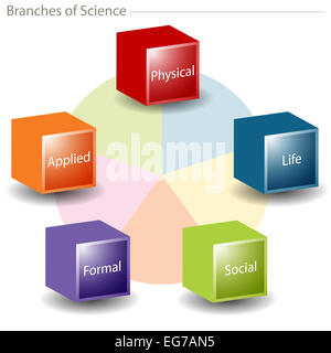 Ein Bild von einem Zweige der Wissenschaft Diagramm. Stockfoto