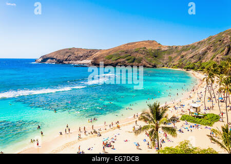 Tagesansicht Schnorcheln Tropenparadieses Hanauma Bay in Oahu, Hawaii Stockfoto