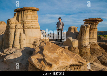 Willow Creek Hoodoos, Drumheller, Alberta, Kanada Stockfoto