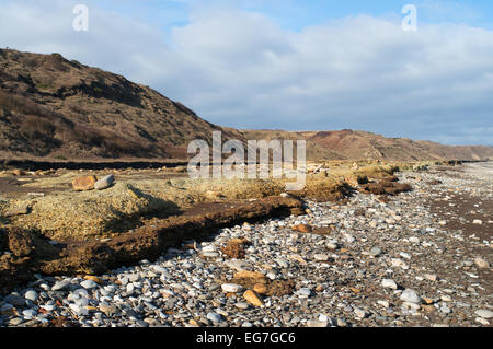 Blackhall Zeche Strand zeigen erodierten Schicht des Kohlebergbaus verschwenden, Küste der Grafschaft Durham, England, UK Stockfoto