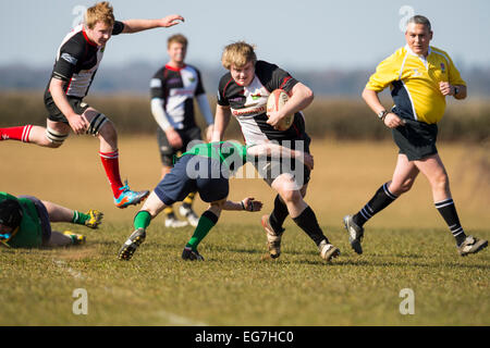 Rugby, Spieler in Angriff genommen. Stockfoto