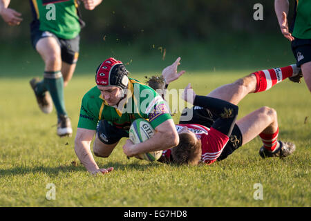 Rugby, Spieler in Angriff genommen. Stockfoto